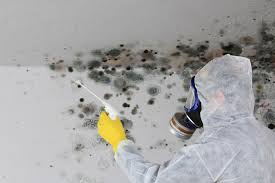 Mold Removal for HVAC Installations in Ellsworth, ME